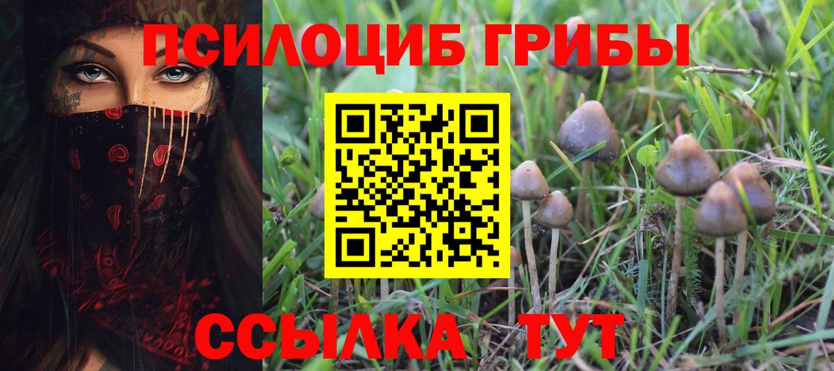 Псилоцибиновые грибы Cubensis  Вход с VPN  Самара 